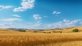 Beautiful_summer_rural_natural_landscape_with_ripe_wheat_1690446482279_6 Royalty Free Stock Photo