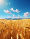 Beautiful_summer_rural_natural_landscape_with_ripe_wheat_1690446482279_4 Royalty Free Stock Photo