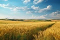 Beautiful_summer_rural_natural_landscape_with_ripening_wheat_1690445531447_6 Royalty Free Stock Photo