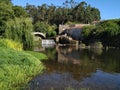 Beautiful summer scene over river with old Roman stone bridge and willow tree. Royalty Free Stock Photo