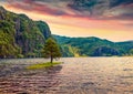 Lonely tree on the small island on Suldalsvatnet lake.