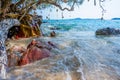 Beautiful summer sea views with rocks, trees and decorations made of coral