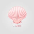 Beautiful summer seashell vector design