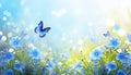 Beautiful summer or spring meadow with blue flowers of forget-me-nots and two flying butterflies. Wild nature landscape Royalty Free Stock Photo