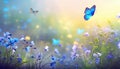 Beautiful summer or spring meadow with blue flowers of forget-me-nots and two flying butterflies. Wild nature landscape Royalty Free Stock Photo