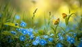Beautiful summer or spring meadow with blue flowers of forget-me-nots and two flying butterflies. Wild nature landscape Royalty Free Stock Photo