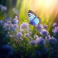 A beautiful summer or spring meadow with two flying butterflies and blue flowers of forget-me-nots ..Selective focus, shallow Royalty Free Stock Photo