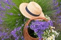 Basket of lavender flowers and straw hat Royalty Free Stock Photo