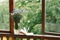 A bouquet of cornflowers and a book on the windowsill in a cozy home.