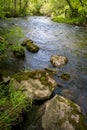 Beautiful Summer Stream Royalty Free Stock Photo