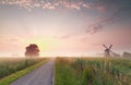 Beautiful summer sunrise on Dutch farmland Royalty Free Stock Photo