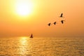 Beautiful summer sunset and migrating birds. Relaxing seascape Royalty Free Stock Photo