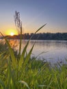 a beautiful summer sunset over the Berezina river Royalty Free Stock Photo