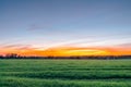 Beautiful summer sunset over a rural field Royalty Free Stock Photo