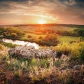 Beautiful summer sunset at the river with reflection Royalty Free Stock Photo