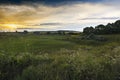 Beautiful summer sunset with waving wild grass in sunlight  rural meadow or field in countryside. panorama landscape with sun and Royalty Free Stock Photo