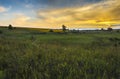 Beautiful summer sunset with waving wild grass in sunlight  rural meadow or field in countryside. panorama landscape with sun and Royalty Free Stock Photo