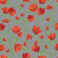 Beautiful summer trendy wild blooming flower red tulip seamless pattern in a hand drawing style. Watercolor red wild flower on Royalty Free Stock Photo