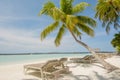 Beautiful summer tropical beach landscape with ocean and palm trees, sunbeds at the tropical island Royalty Free Stock Photo