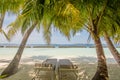 Beautiful summer tropical beach landscape with ocean and palm trees, sunbeds at the tropical island resort