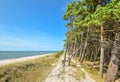Beautiful summer view of the Baltic Sea, pebble sandy beach and pine forest, bright blue sky, Curonian Spit, Klaipeda, Lithuania. Royalty Free Stock Photo