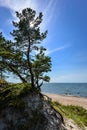 Beautiful summer view of the Baltic Sea, sandy beach, pine forest and bright blue sky, Curonian Spit, Klaipeda, Lithuania. Royalty Free Stock Photo