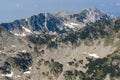 Beautiful summer view Northern Pirin Mountain