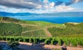 Beautiful summer view of Rizman vineyard, Kremena village location. Beautiful world of Mediterranean countries, nice sunny day in Royalty Free Stock Photo