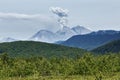 Beautiful summer volcanic landscape of Kamchatka: eruption active Zhupanovsky Volcano