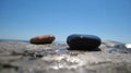 Sea stones