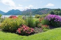 Beautiful summerly flowerbed at spa garden Schliersee, bavarian landscape