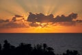 The beautiful sun behind clouds rises brilliantly over the Atlantic Ocean in the early morning with palm silhouettes in foreground Royalty Free Stock Photo