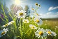 Beautiful blurred spring floral background nature with daisies and blue sky on sunny day. generative AI Royalty Free Stock Photo