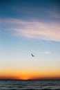 Beautiful sun rise and seagulls flying in red sky above sea waves on tropical island. Waves in ocean at sunset light. Tranquil Royalty Free Stock Photo