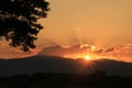 Beautiful Sun rise and sun set background with black silhouetted trees with orange sky.