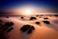 Beautiful sun rise in wide desert with bushes in the morning, AI generated