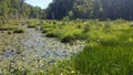 Chesapeake Cliff Trail