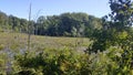 Chesapeake Cliff Trail