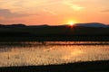 Beautiful sundown and a lake Royalty Free Stock Photo