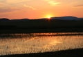 Beautiful sundown and a lake Royalty Free Stock Photo