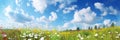 Beautiful_sundrenched_spring_summer_meadow_Natural_colorful_panoramic_1690448048243_1 Royalty Free Stock Photo