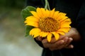A beautiful sunflower blossom in hands closeup. Young lady holds sunflower in black sweater background