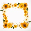 Beautiful Sunflower Border Gentle Serenity Royalty Free Stock Photo