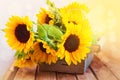 Beautiful sunflower bouquet in wooden box Royalty Free Stock Photo