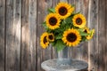 Beautiful sunflower bunch in front of a wooden wall with lots of space for text copy-space. Royalty Free Stock Photo