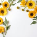 Beautiful Sunflower Frame Endless White Beauty