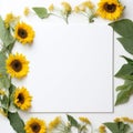 Beautiful Sunflower Frame Nature\'s Elegance