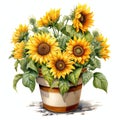 beautiful Sunflower pot clipart illustration Royalty Free Stock Photo