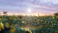 Beautiful Sunflowers in the field at sunrise. Field with sunflowers, butterflies and insects. 3D Rendering