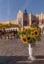 Beautiful sunflowers and other flowers on sale in the main market square in Krakow, Poland Royalty Free Stock Photo